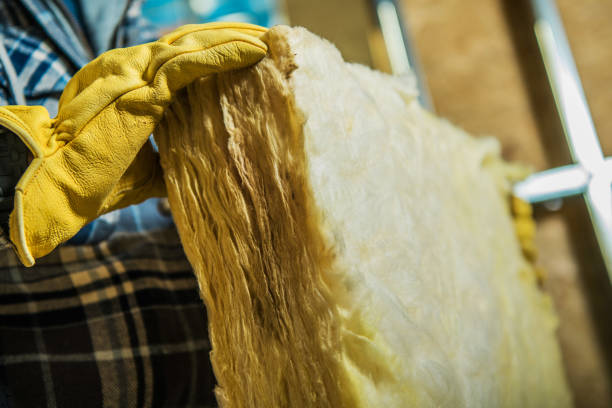 Best Insulation Inspection Services  in New Boston, TX