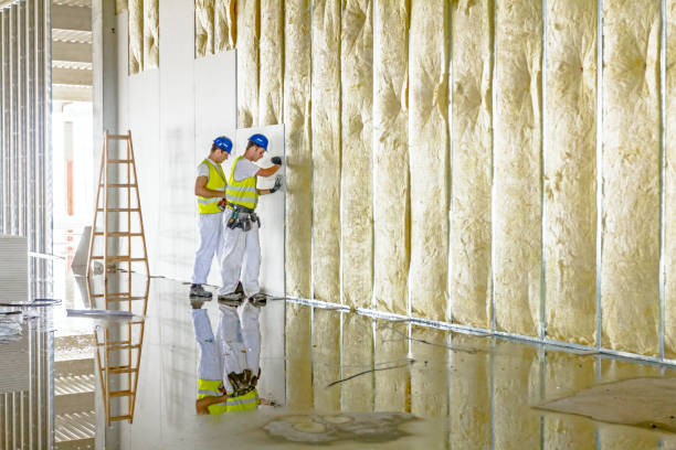 Insulation Inspection Services in New Boston, TX